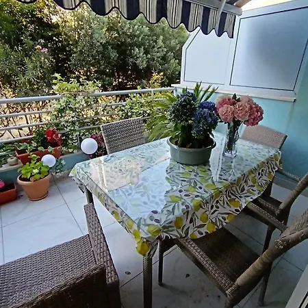 Apartment Diana Znjan