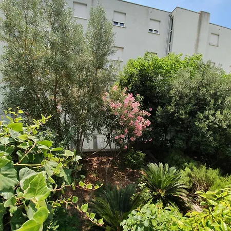 Diana Znjan Спліт